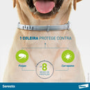 Coleira Seresto® anti-carrapatos e pulgas para cães acima de 8kg