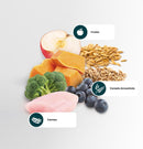 N&D Ancestral Grain Selection Ração para Cães Adultos Raças Médias 15 kg