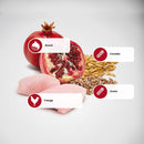 N&D Ancestral para Cães Idosos de Raças Mini e Pequenas Sabor Frango, Romã, Aveia e Cevada 2,5Kg