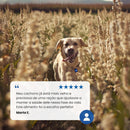 N&D Ancestral para Cães Idosos de Raças Mini e Pequenas Sabor Frango, Romã, Aveia e Cevada 2,5Kg