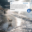 N&D Ocean para Cães Adultos de Raças Mini e Pequenas Sabor Salmão e Melão 2,5