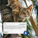 N&D Tropical para Gatos Adultos de Todas as Raças Sabor Frango, Cereais e Frutas Tropicais 1,5Kg