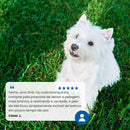 N&D White para Cães Filhotes de Raças Mini e Pequenas Sabor Merluza, Spirulina e Erva Doce 1,5Kg