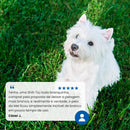 N&D White para Cães Adultos de Raças Mini e Pequenas Sabor Merluza, Spirulina e Erva Doce 2Kg