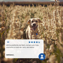 N&D Ancestral Grain Selection Ração para Cães Adultos Raças Médias 15 kg