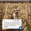 N&D Ancestral para Cães Idosos de Raças Mini e Pequenas Sabor Frango, Romã, Aveia e Cevada 2,5Kg