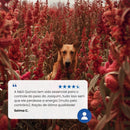 N&D Quinoa Controle de Peso Ração para Cães Adultos Raças Mini Cordeiro 2,5 kg