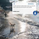 N&D Ocean para Cães Adultos de Raças Mini e Pequenas Sabor Salmão e Melão 2,5